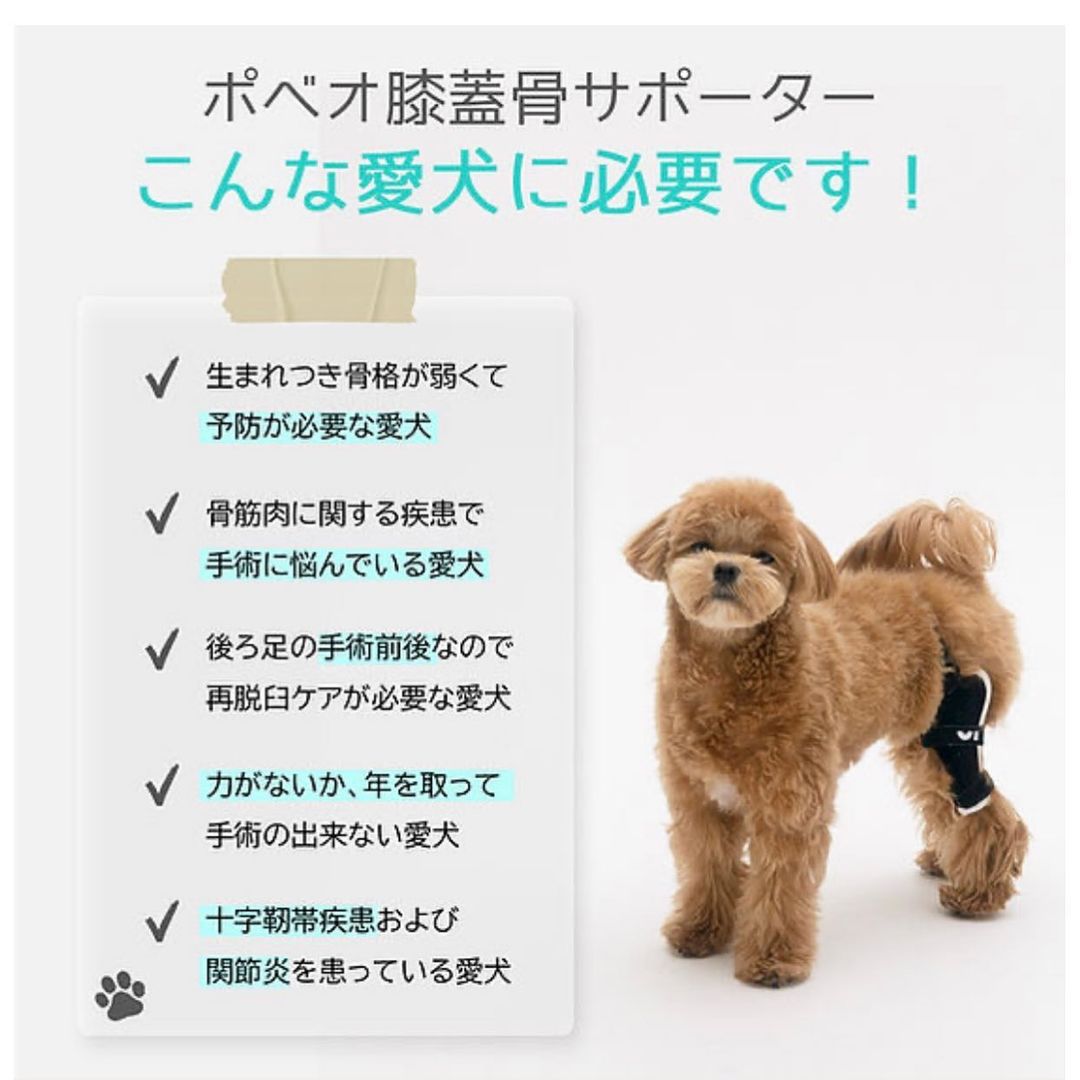 犬用サポーター パテラ 肌寒い